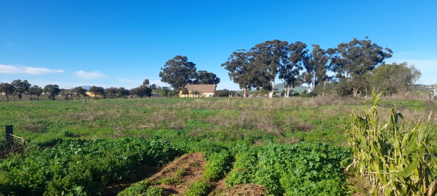 3 Bedroom Property for Sale in Hooikraal Western Cape
